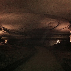 Mammoth Cave -Rotunda out